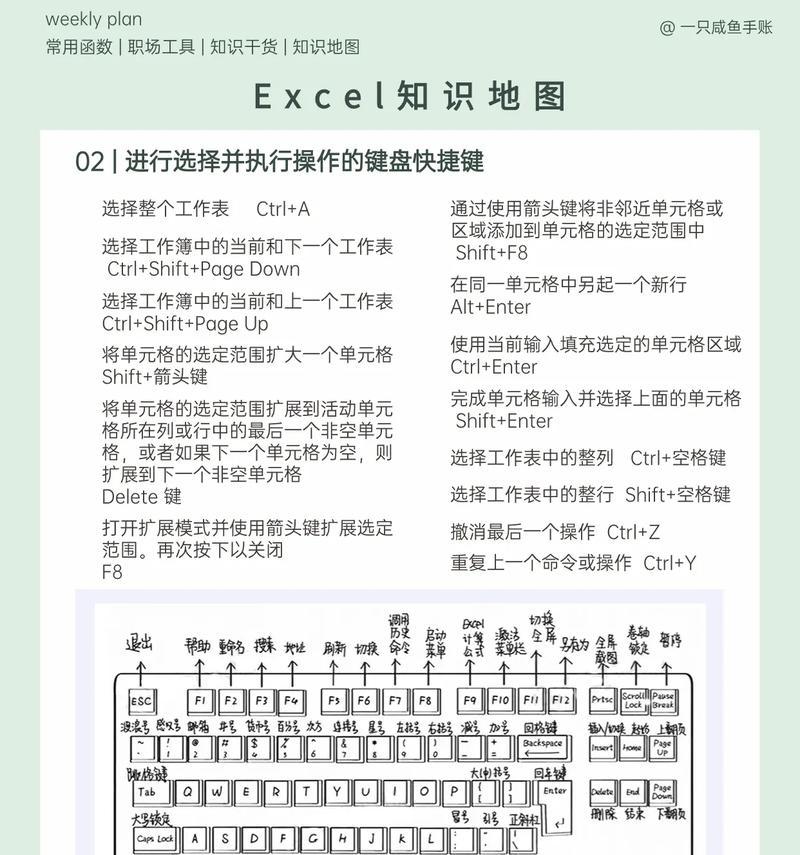 电脑基础Excel教程(掌握Excel,提升办公效率与数据分析能力)