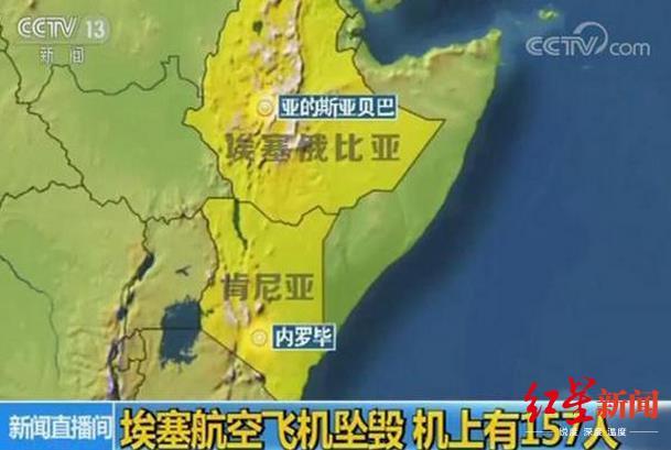 埃航公布157名遇难者国籍 4人持有联合国护照