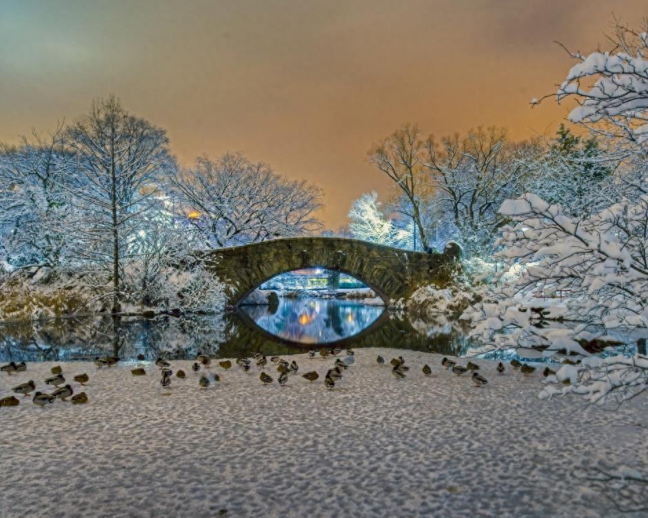 真实美景:唯美的雪景高清图集