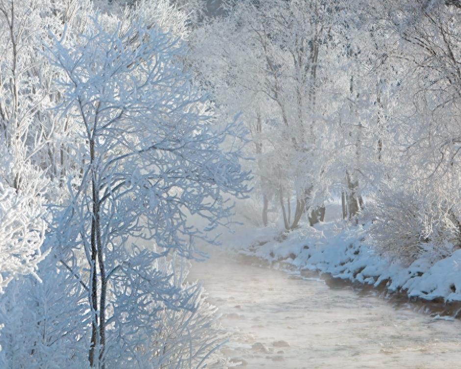 真实美景:唯美的雪景高清图集