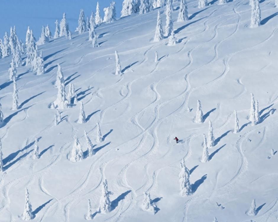 真实美景:唯美的雪景高清图集