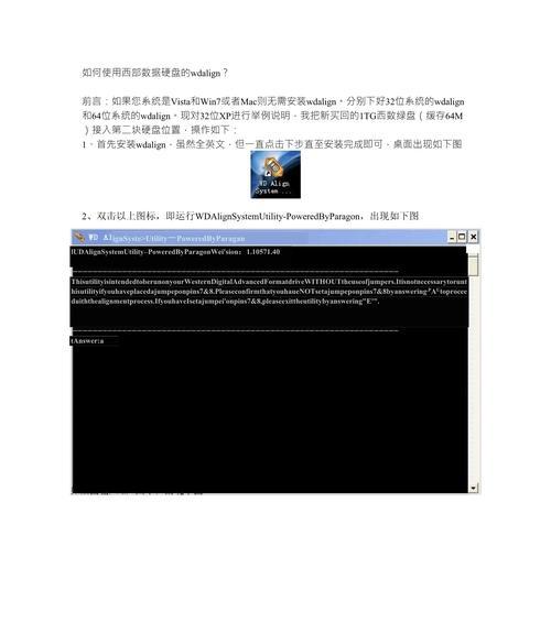 以西数硬盘的数据拷贝技巧(高效安全地拷贝数据到以西数硬盘)