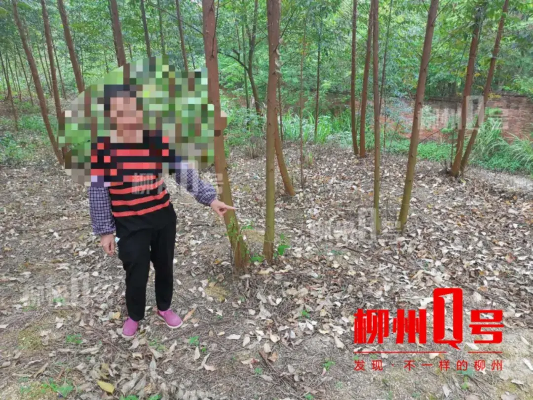 辣眼晴!柳州一树林里有人做龌龊事,2女12男当场被抓~