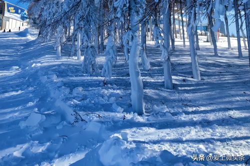张家口十大热门景点,你去过几个
