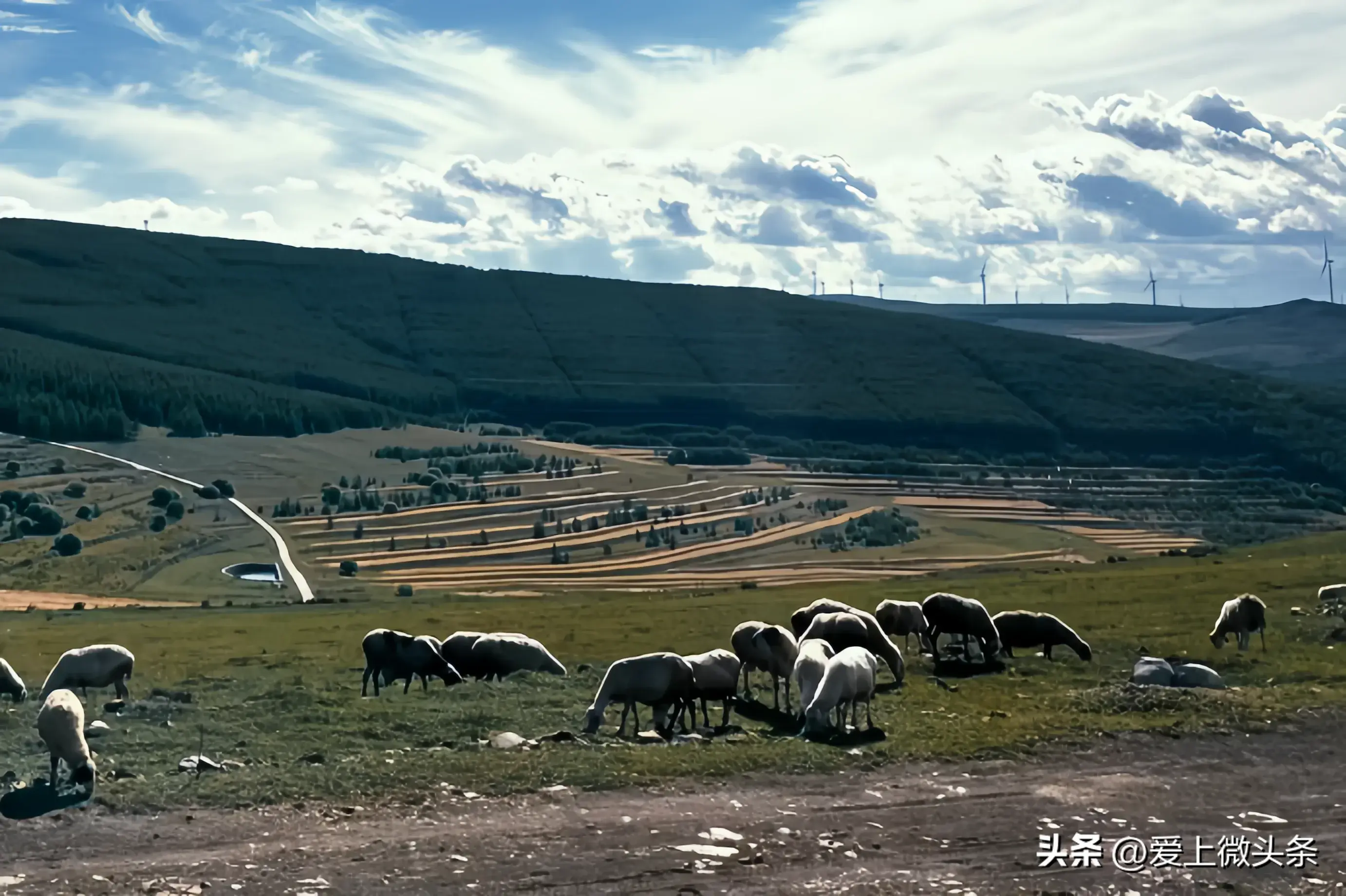 张家口十大热门景点,你去过几个