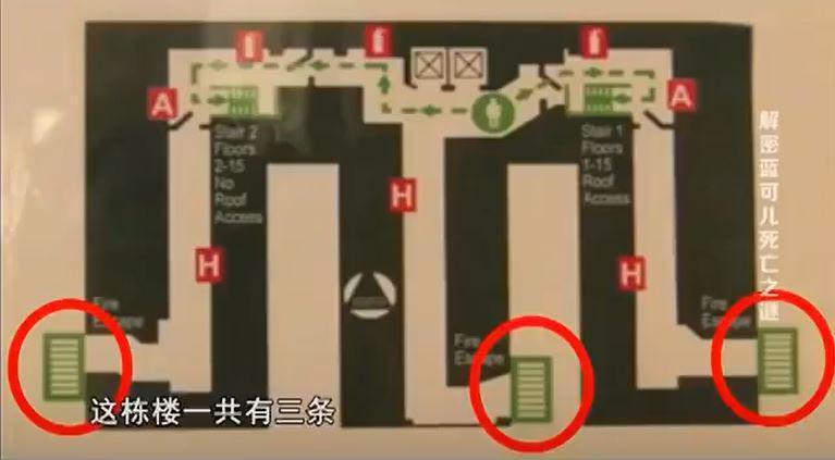 蓝可儿案件始末,法医揭晓真相