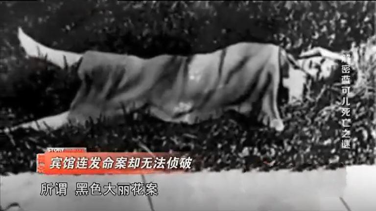 蓝可儿案件始末,法医揭晓真相