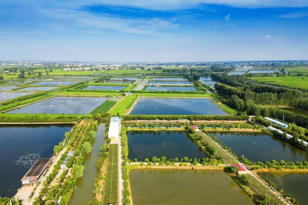 安徽省人口第三多的县,常住人口接近120万,皖北阜阳颍上县