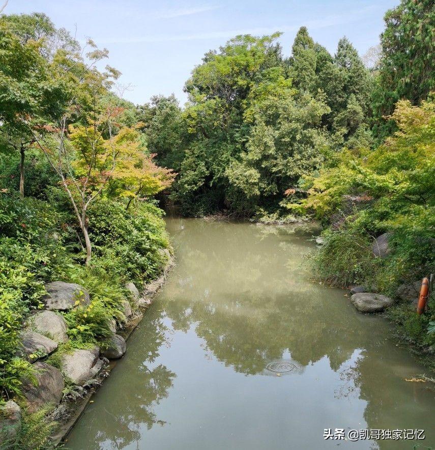 南通啬园-好似没落的公园,但是依然如小家碧玉般存在,你来过吗