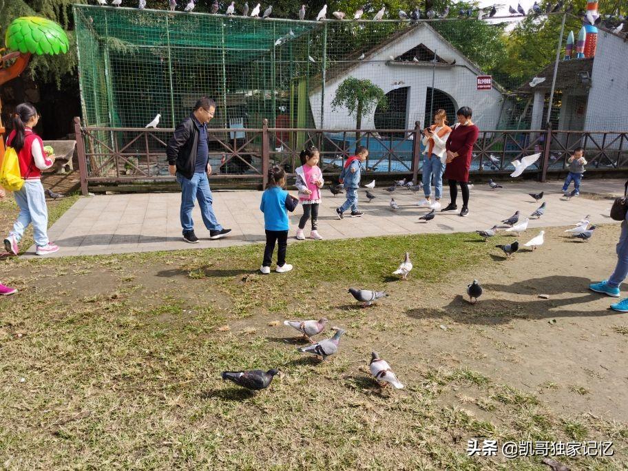 南通啬园-好似没落的公园,但是依然如小家碧玉般存在,你来过吗