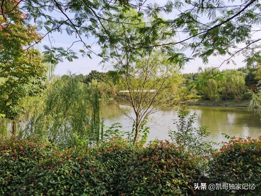 南通啬园-好似没落的公园,但是依然如小家碧玉般存在,你来过吗