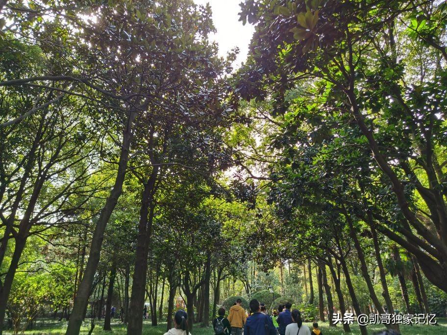南通啬园-好似没落的公园,但是依然如小家碧玉般存在,你来过吗