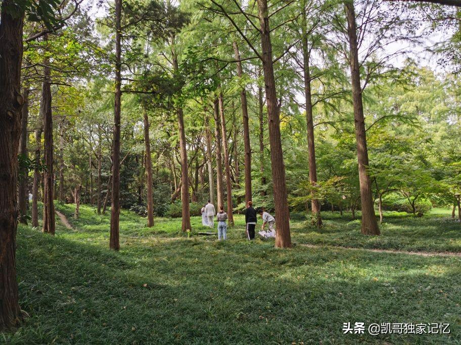南通啬园-好似没落的公园,但是依然如小家碧玉般存在,你来过吗