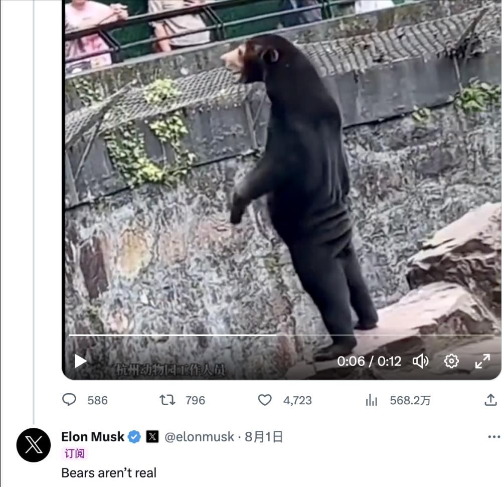 中国动物园的一头马来熊火爆全球!国外网友:它到底是熊还是人?