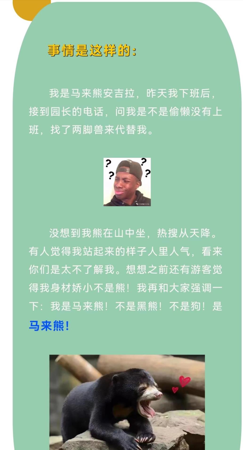 中国动物园的一头马来熊火爆全球!国外网友:它到底是熊还是人?