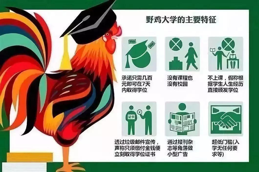 河南7所“野鸡大学”,学历如同废纸,被人民日报曝光,别上当