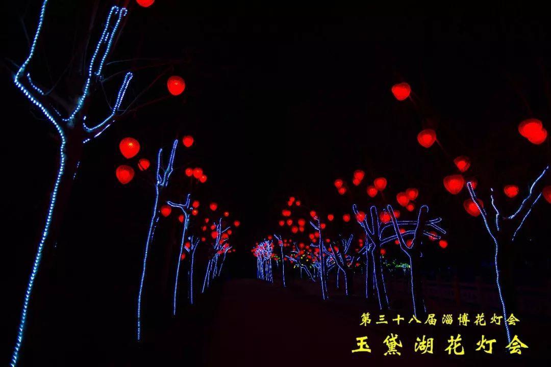 超震撼!玉黛湖花灯亮了,一大波高清美图抢先看
