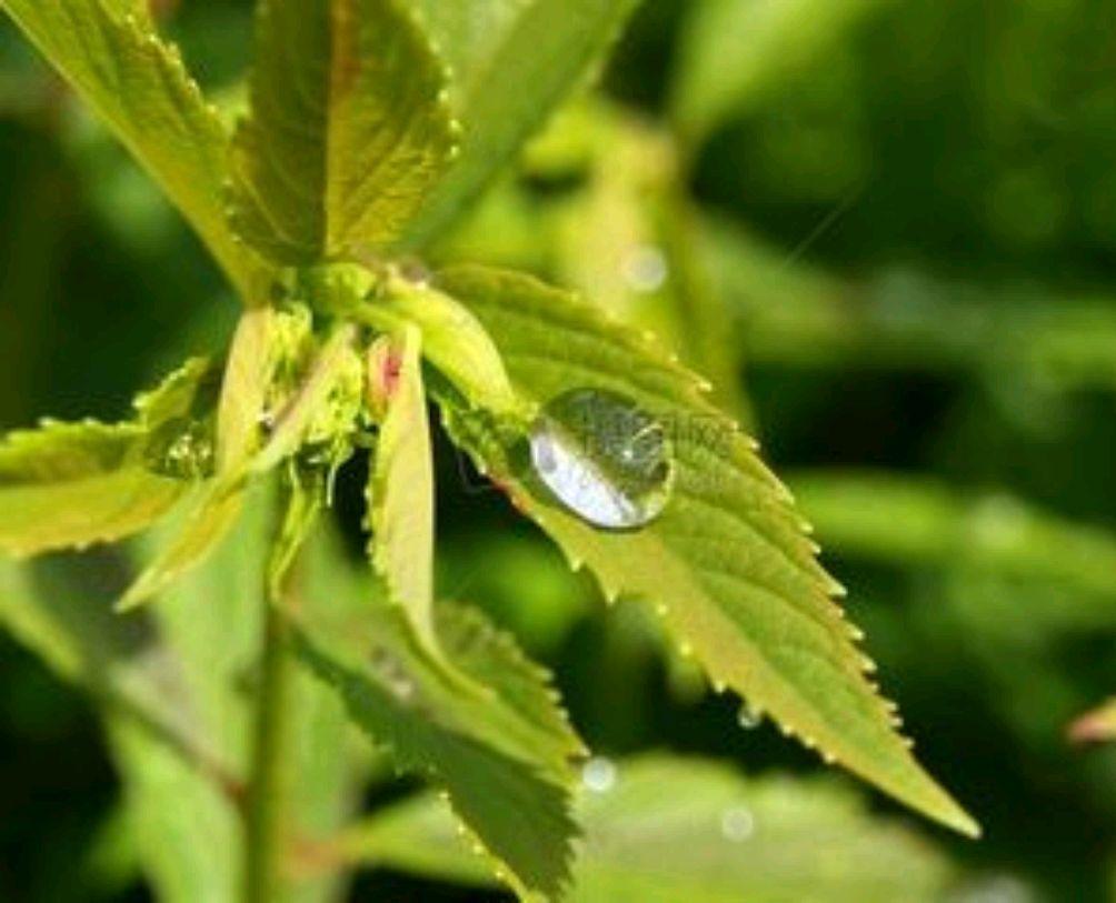 农历八月初一,下雨好不好?啥预兆?看完文章早知道