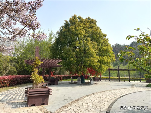 连云港桃花涧景区,不只有桃花,还有将军崖岩画等上古时代遗迹