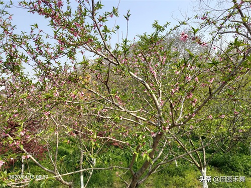 连云港桃花涧景区,不只有桃花,还有将军崖岩画等上古时代遗迹