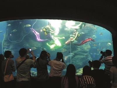 石家庄至北海高铁时刻表及票价