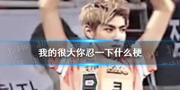 我的很大你忍一下梗(网络流行语我的很大你忍一下是什么梗)