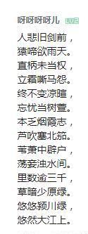 五五开开挂始末,结局令人叹息