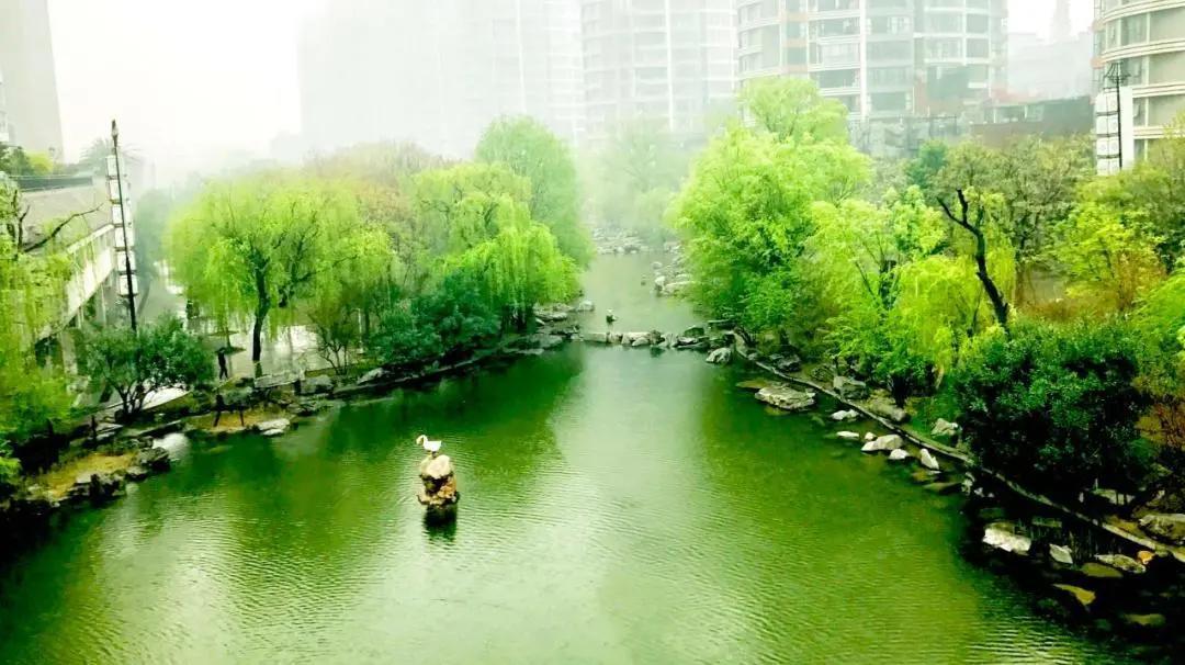 亚星江南小镇实景公园,邀你共赏意趣春天