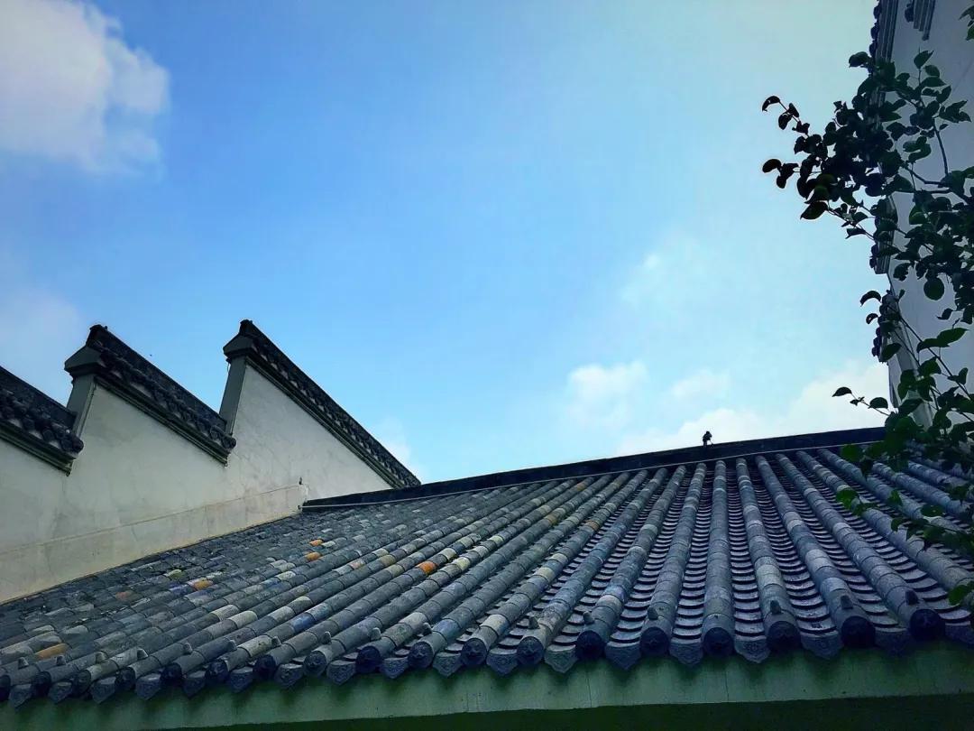 亚星江南小镇实景公园,邀你共赏意趣春天