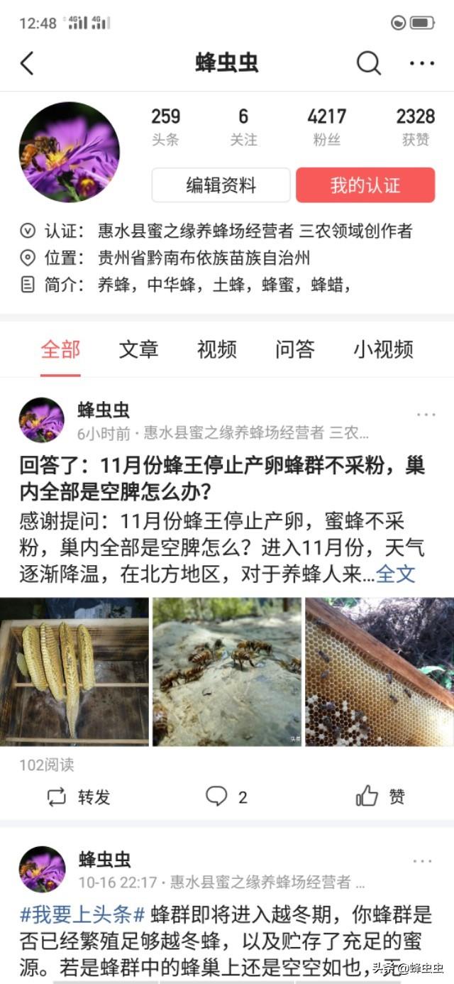 自学养胡蜂,如何第一次就养殖成功