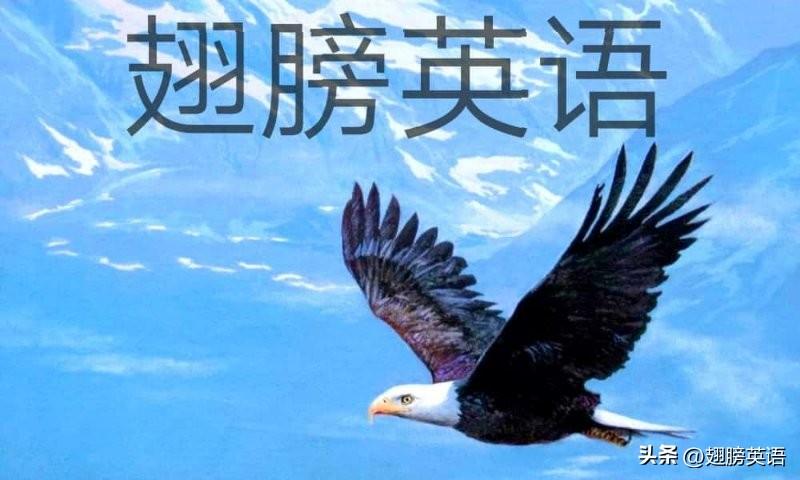 常见的“我代表”英语怎么说