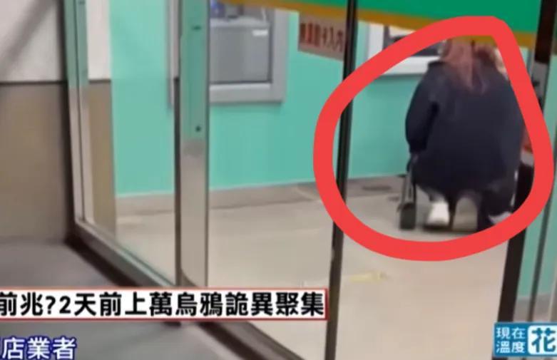 曝林靖恩精神失常!酒店砸东西,目前流落街头,10年婚姻状态曝光