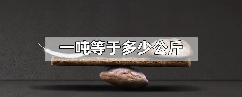 一顿是等于多少斤换算(吨和斤怎么换算)
