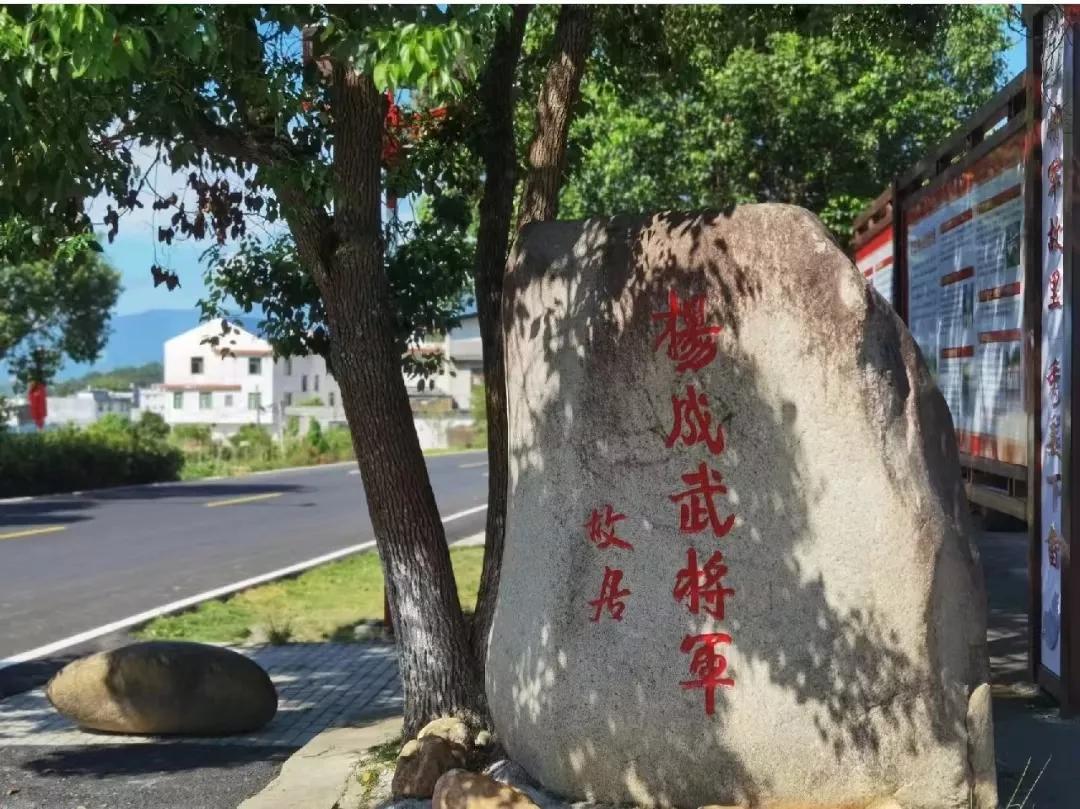 杨成武上将