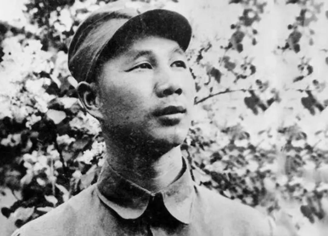 杨成武上将