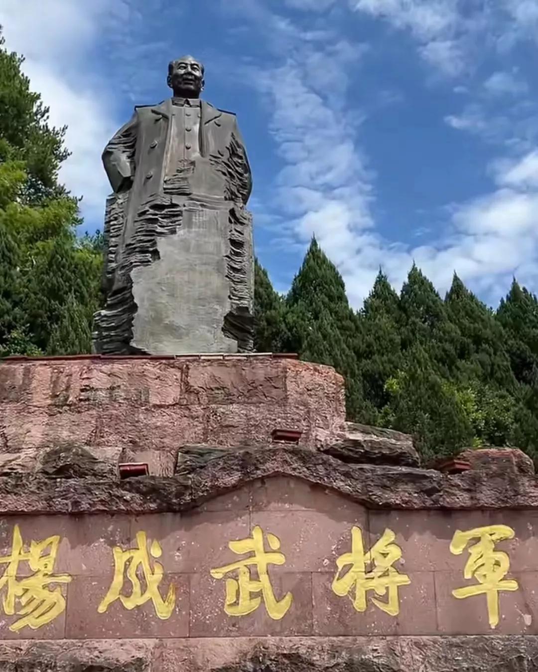 杨成武上将
