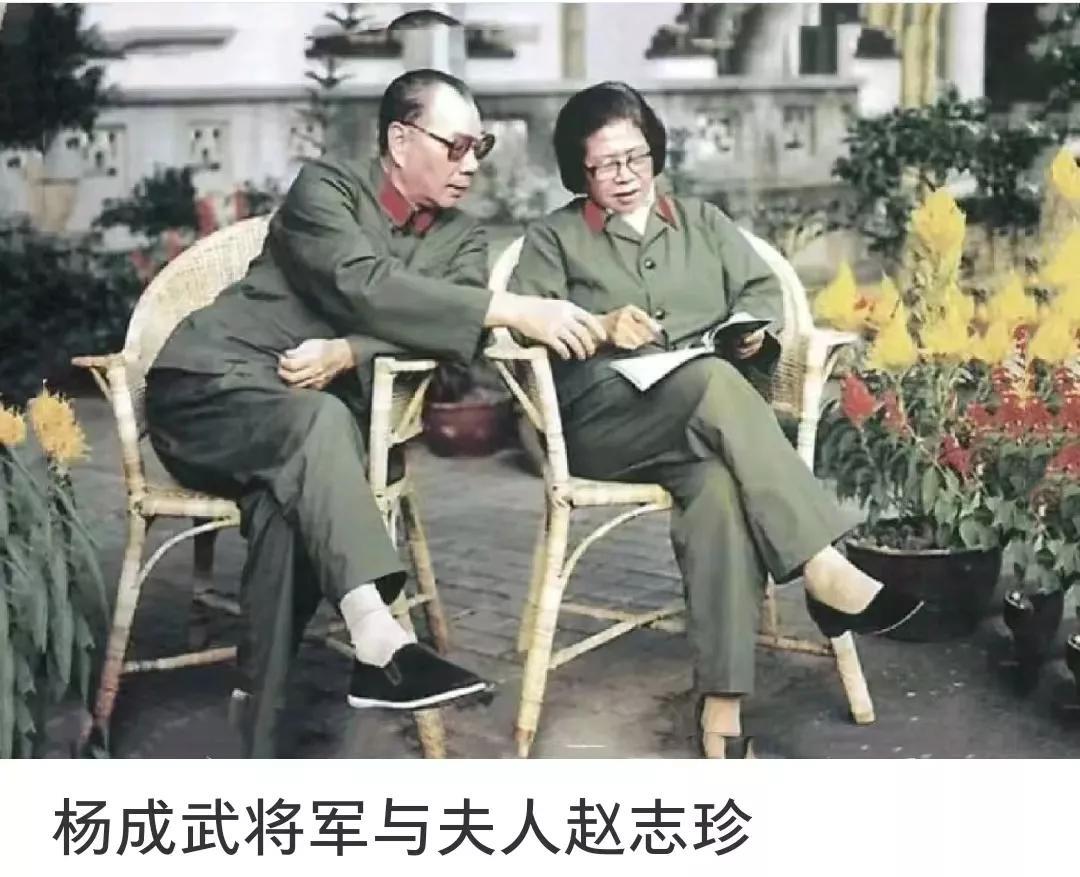 杨成武上将