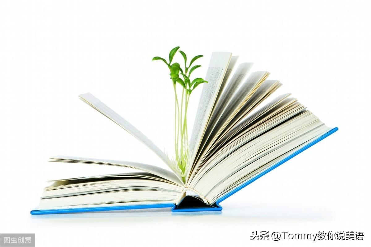 15秒一个单词(第2272个)influential