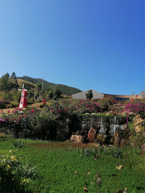 广东一个神秘的景点(饶平青岚国家地质公园)