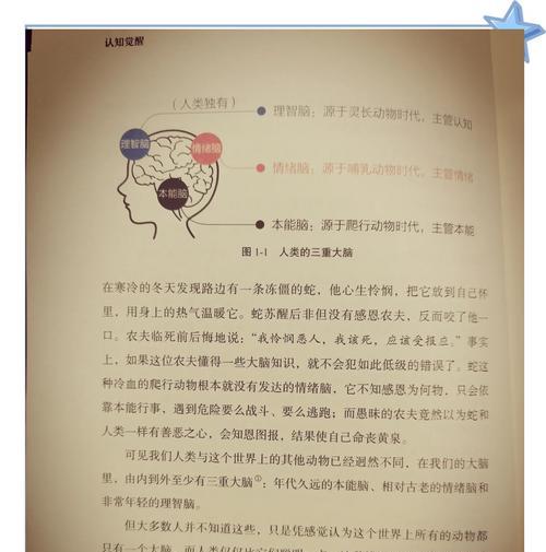 人脑的神秘之谜(探索人脑的奥秘,揭示没有人类存在的世界)