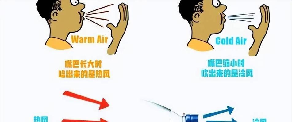 如何制作一个高效的电风扇（简单实用的DIY电风扇制作指南）