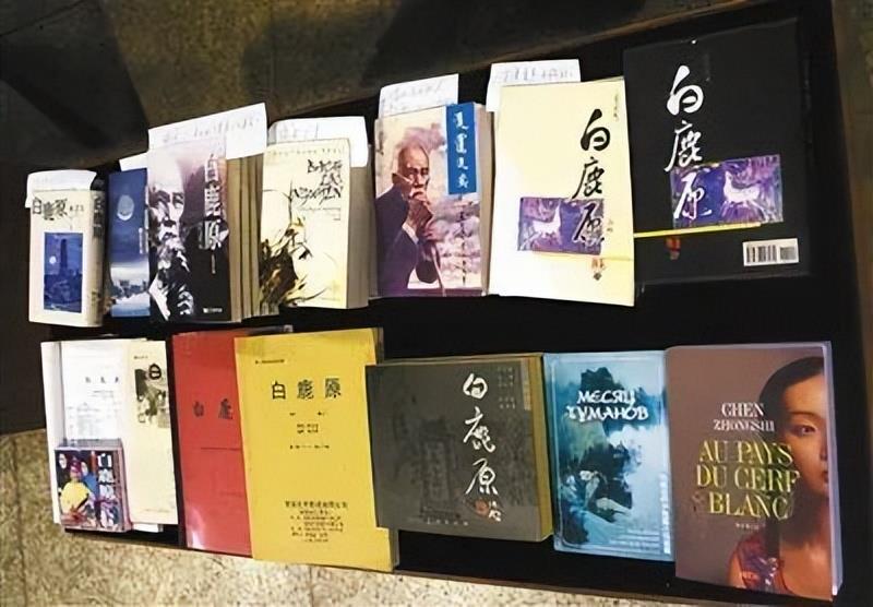 陈忠实的作品有哪些(陕西作家陈忠实的个人资料及代表作品)