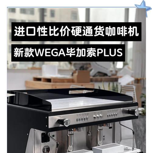 Gaggia全自动咖啡机（让您在家享受专业级咖啡体验的顶级选择）