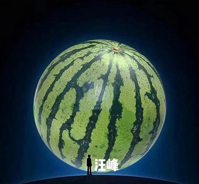 汪峰效应娱乐圈的预言家(汪峰效应到底是什么梗)