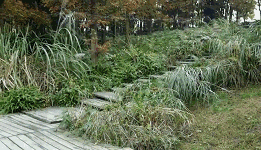 ​量子隐身衣效果好逼真啊 浙大量子隐身衣骗局差点让文化人都信了