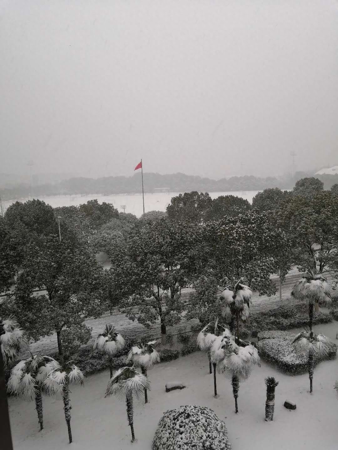 难得一见!湖南几乎“全省下雪”,大雪暴雪一大片!