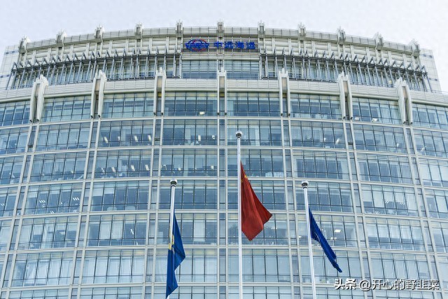 海航集团联合创始人王健