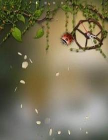 探索Go桌面的卓越特性（Go桌面——简洁、高效、优雅的桌面环境）