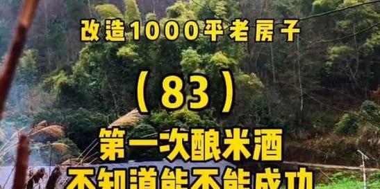 追寻成功生活的关键（成功生活的本质是什么）