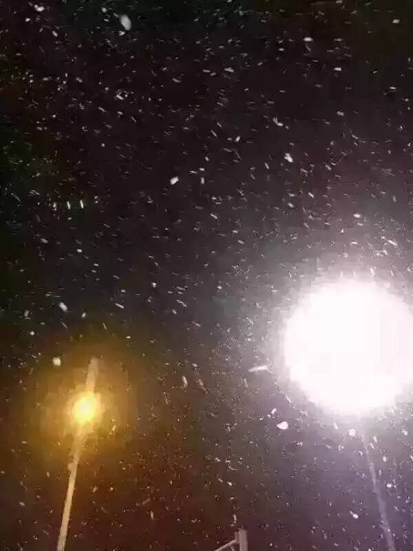 南宁今早下雪了!更鸡冻的是,今晚还有!(多图)